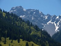 AU, Vorarlberg, Nenzinger Himmel 4, Saxifraga-Hans Dekker