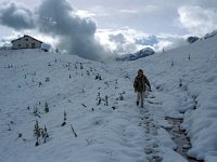 A, Vorarlberg, Sonntag, Biberacher Huette 15, Saxifraga-Jan van der Straaten