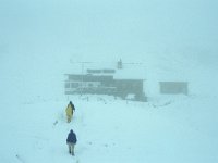 A, Vorarlberg, Sonntag, Biberacher Huette 8, Saxifraga-Jan van der Straaten