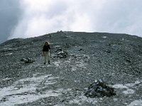 A, Vorarlberg, Tschagguns, Sulzfluh 8, Saxifraga-Jan van der Straaten