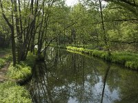 B, Liege, Plombieres, Geul 1, Saxifraga-Willem van Kruijsbergen