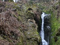 B, Liege, Waimes, Vallee de la Warche near Robertville 3, Saxifraga-Tom Heijnen