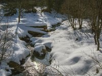 B, Liege, Waimes, Fagne de la Poleur 50, Saxifraga-Jan van der Straaten