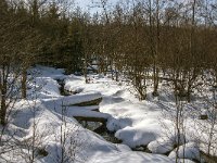 B, Liege, Waimes, Fagne de la Poleur 51, Saxifraga-Jan van der Straaten