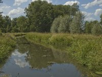 B, Limburg, Kinrooi, Abeek 6, Saxifraga-Marijke Verhagen