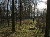 B, Limburg, Kinrooi, Hasselterbroek 10, Saxifraga-Jan van der Straaten