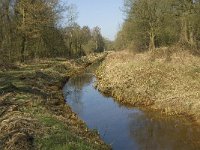 B, Limburg, Kinrooi, Lossing 4, Saxifraga-Jan van der Straaten