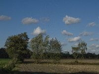 B, Limburg, Kinrooi, Zuurbeekvallei 17, Saxifraga-Jan van der Straaten