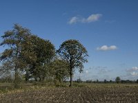 B, Limburg, Kinrooi, Zuurbeekvallei 7, Saxifraga-Jan van der Straaten