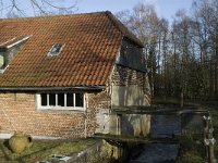 B, Limburg, Overpelt, Kleine Molen 4, Saxifraga-Marijke Verhagen