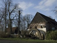 B, Limburg, Overpelt, Weelse Molen 3, Saxifraga-Marijke Verhagen