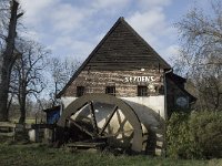 B, Limburg, Overpelt, Weelse Molen 5, Saxifraga-Marijke Verhagen