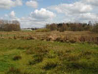 B, Limburg, Peer, Eikelbos 7, Saxifraga-Jan van der Straaten