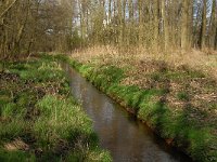 B, Limburg, Peer, Tichelhoven, Bollisserbeek 1, Saxifraga-Jan van der Straaten