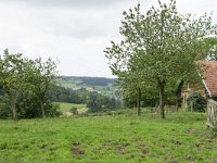 B, Limburg, Voeren, E of Sint-Martens-Limburg, Voeren 1, Saxifraga-Tom Heijnen