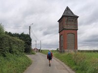 B, Limburg, Voeren, Graef bij Remersdaal 1, Saxifraga-Tom Heijnen