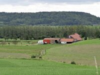 B, Limburg, Voeren, Graef bij Remersdaal 6, Saxifraga-Tom Heijnen