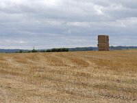 B, Limburg, Voeren, Graef bij Remersdaal 8, Saxifraga-Tom Heijnen