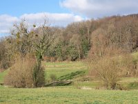 B, Limburg, Voeren, Gulpdal bij Nurop 2, Saxifraga-Tom Heijnen