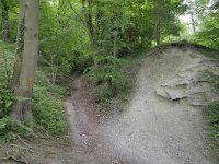 B, Limburg, Voeren, Teuvenerberg 3, Saxifraga-Tom Heijnen