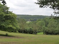 B, Limburg, Voeren, Veursbos 5, Saxifraga-Tom Heijnen