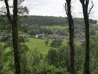 B, Limburg, Voeren, Veursbos 8, Saxifraga-Tom Heijnen