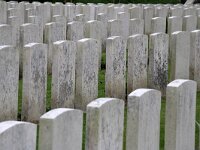 B, West-Vlaanderen, Ieper, War Cemetery 3, Saxifraga-Foto Fitis-Sytske Dijksen