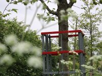 B, West-Vlaanderen, Ieper, War Cemetery 5, Saxifraga-Foto Fitis-Sytske Dijksen