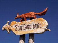 CZ, Trutnov, Spindleruv Mlyn, boundary post Pramen Labe 3, Saxifraga-Foto Fitis-Sytske Dijksen