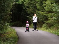 CZ, Trutnov, Vrchlabi 3, Saxifraga-Foto Fitis-Sytske Dijksen