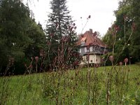 CZ, Trutnov, Vrchlabi 6, Saxifraga-Foto Fitis-Sytske Dijksen