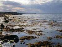 DK, Midtjylland, Nordfyn, Bogense 2, Foto Fitis-Sytske Dijksen