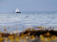 DK, Midtjylland, Nordfyn, Bogense 3, Foto Fitis-Sytske Dijksen