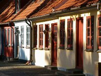 DK, Midtjylland, Nordfyn, Bogense 6, Saxifraga-Foto Fitis-Sytske Dijksen