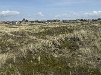 Nordjylland, Thisted, Norre Vorupor West 14, Saxifraga-Jan van der Straaten