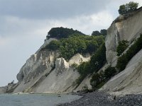 DK, Sjaelland, Vordingborg, Moens Klint North 19, Saxifraga-Jan van der Straaten