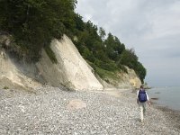 DK, Sjaelland, Vordingborg, Moens Klint North 8, Saxifraga-Jan van der Straaten