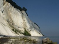 DK, Sjaelland, Vordingborg, Moens Klint South 8, Saxifraga-Jan van der Straaten