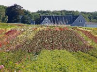 DK, Syddanmark, Fuenen 1, Foto Fitis-Sytske Dijksen