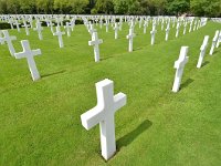 UK, Cambridgeshire, Cambridge, American Cemetery 1, Saxifraga-Tom Heijnen