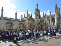 UK, Cambridgeshire, Cambridge, Kings College 1, Saxifraga-Tom Heijnen