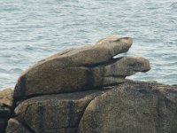 GB, Cornwall, Penwith 12, Foto Fitis-Sytske Dijksen