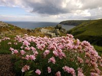 GB, Cornwall, Penwith 14, Foto Fitis-Sytske Dijksen