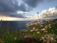 GB, Cornwall, Penwith 8, Foto Fitis-Sytske Dijksen