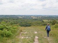 EUk, East Sussex, Wealden, Ashdown Forest 2, Saxifraga-Tom Heijnen