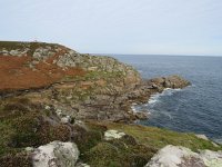 GB, Isles of Scilly, St Agnes 6, Saxifraga-Mark Zekhuis