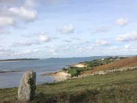 GB, Isles of Scilly, St Mary 1, Saxifraga-Mark Zekhuis