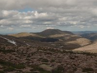 GB, Moray, Glenlivet, Ben Macdui 1, Saxifraga-Bas Klaver