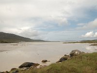 GB, Outer Hebrides, South Harris, Luskentyre 1, Saxifraga-Bas Klaver