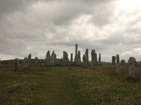 GB, Outer Hebrides, Uig, Callanish 1, Saxifraga-Bas Klaver